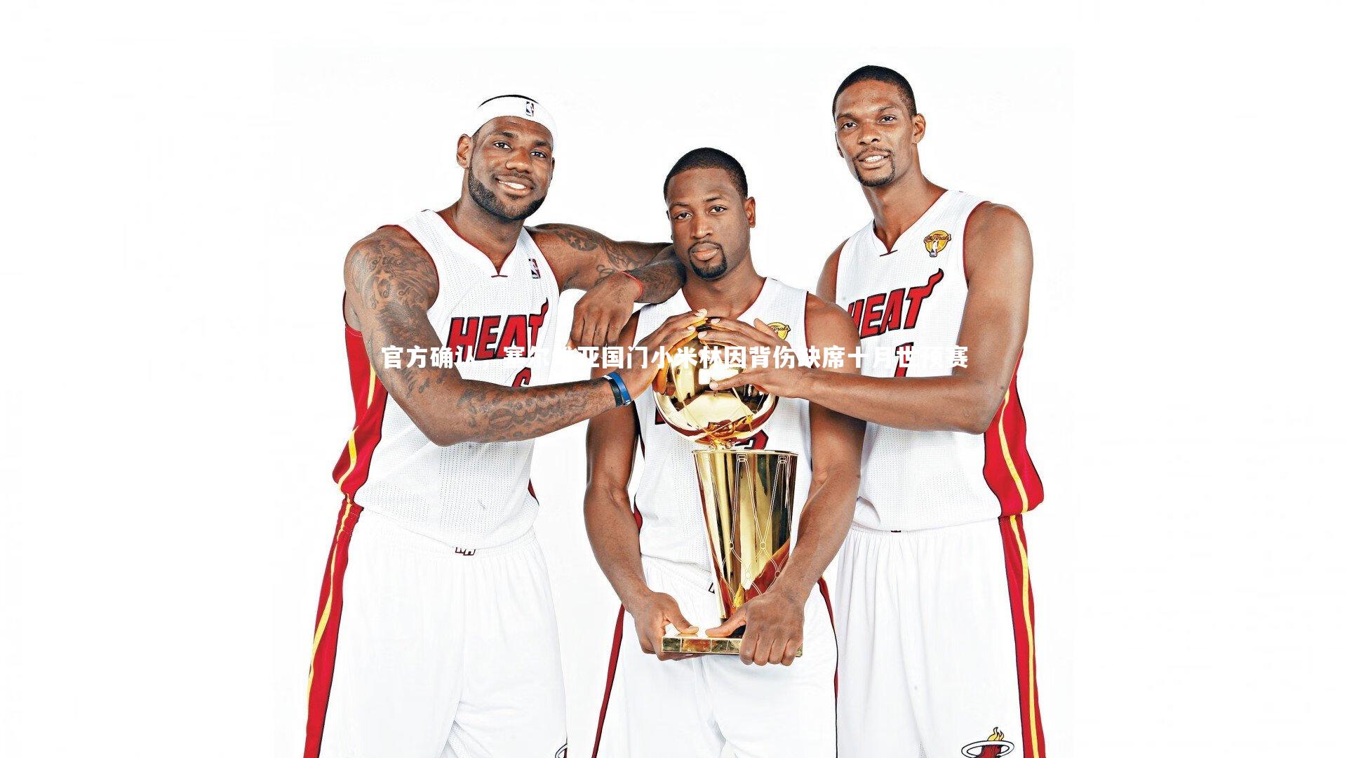 官方确认，塞尔维亚国门小米林因背伤缺席十月世预赛